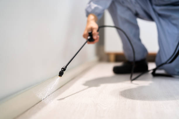 Bed Bug Pre-Treatment Preparation Assessment in East St. Louis