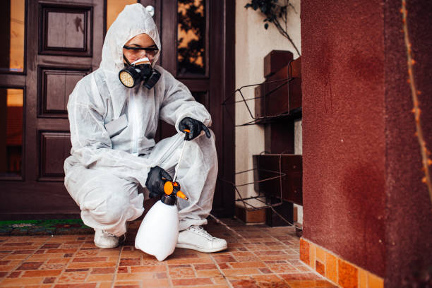 Multi-Unit and Airbnb Bed Bug Protocol in East St. Louis