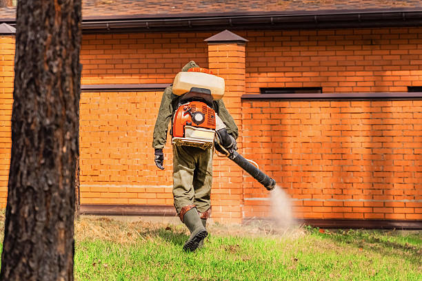 Bed Bug Clearance Verification and Documentation in East St. Louis